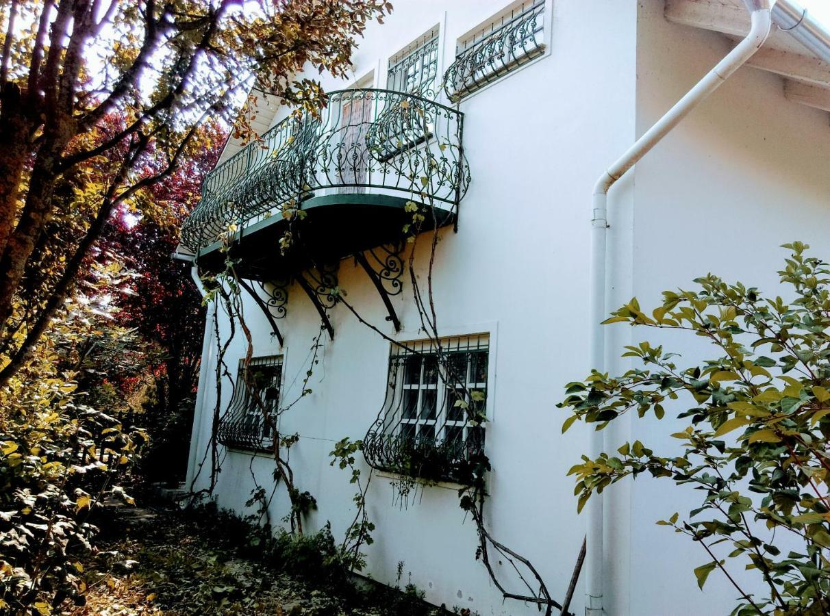 Fesztival Nyaralohaz Apartment Zamárdi Exterior foto